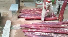 1554 lbs of red sandalwood worth $53,904 in southern India