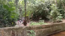 Swiss parliament worker 'raped and murdered' on Thai island weeks after tourists were allowed back