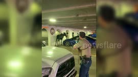 Huge moose rescued after roaming around a car park in Colorado, Canada