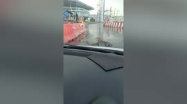 Wrestling monitor lizards hold up cars on road in Bangkok