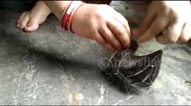 Bat entangled in fishing net is cut free by rescuer in eastern India