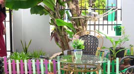 Cutting a flower from a banana tree in my garden, this is necessary for the growth of the banana fruits.