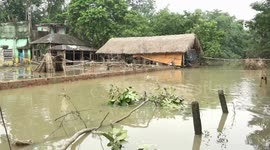 Hundreds of villages flooded in just one district of West Bengal, India