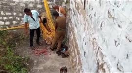 Deer that fell into a deep well in India is rescued and released back into the forest