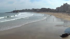 Authorities close Biarritz beaches to swimmers during peak tourist season due to toxic algae