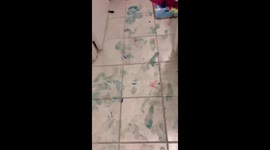 ''ThIs is a disaster!' Horrified mother films aftermath of kids' painting session
