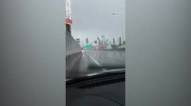 Brave woman crosses busy highway during rainstorm to help stranded kitten