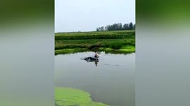 Chinese motorist fishes from car roof after crashing into pond