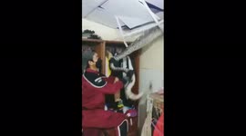 Tiles ripped down as huge python is pulled from ceiling of house in Thailand