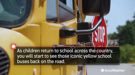 Benefits of white-topped school buses