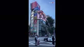 'ULTRA-REALISTIC 3D Cat Spotted on a Billboard in Tokyo, Japan'