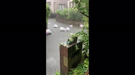 Japan: Heavy Rains Lash Large Parts Of Kyushu, Evacuation Orders Issued 2