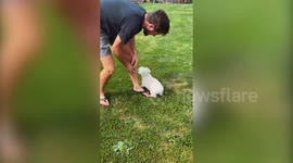 Blind dog from Atlanta finally musters up the courage to jump and play in a new field