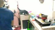 temp