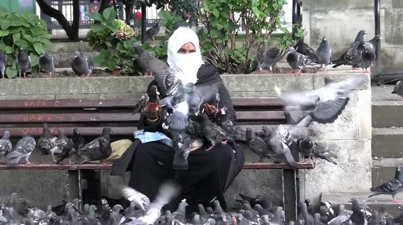 Woman ambushed by pigeons as she feeds them bread at London's Marble Arch