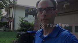 Did the Dryer Sheets Actually Keep the Ants and Wasps Out of My Mailbox? Why, yes. Yes, they did.