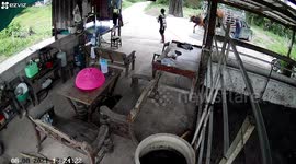 Crazed cow rampages through home as man leaps out of the way