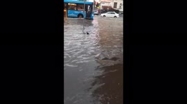 Shark-like object seen floating in flooded streets of western Russian city