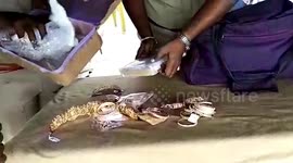 Around 3 lbs of gold ornaments seized from man in southern India