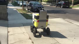 Three postmates delivery robots seen trundling down LA road to drop off food