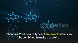 High Protein Vegetarian Meal |Best Plant Food Sources Rich In Protein |High protein Veggies