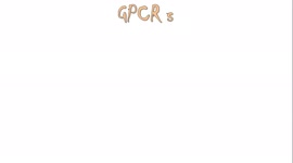 G Protein Coupled Receptors(GPCRs) - Structure, Function, Mechanism of Action. Everything!