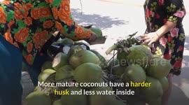 Amazing Health Benefits Of Coconut Water