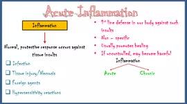Acute Inflammation - Definition, Pathogenesis, Causes, Mediators, Morphology, Exudate and Transudate