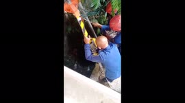 Cat Stuck in well for 2 days, still alive after being rescued by the rescue team