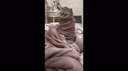 temp
