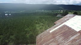 Tornado Damage, Hegins, Schuylkill County, Pennsylvania