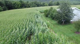 Tornado Damage, Hegins, Schuylkill County, Pennsylvania