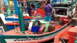 Snake caught inside fishing boat in western Thailand