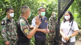 Dozens of captive deers released back into the wild