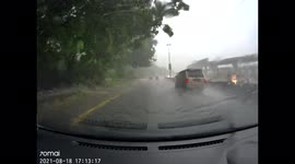 I'm so lucky, managed to prevent a tree fall down..