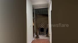 Wild elephant breaks into national park office to eat cat food in Thailand