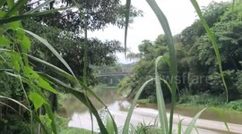 Jet ski owner arrested for lending them to tourists to speed along river