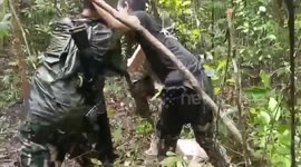 Dog rescued after getting trapped in hunter’s snare in the forest