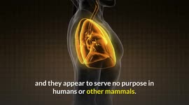 How To Get Rid Of Hiccups Quickly And Easily Without Medication |Natural Ways To Get Rid Of Hiccups