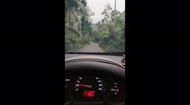 down the country with cars ... very quiet, comfortable and peaceful