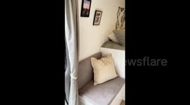 Couple convert van named Lewis into luxurious home-on-wheels for $18,000 in just four months