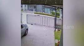 Pet tortoise escaped from home by pushing open metal gate (original TikTok edit)