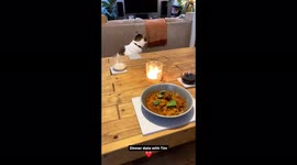 Romantic dinner date with my pet cat Tim. Spaghetti Meatballs & Milk for him.