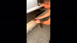 Never pick up a crawling squirrel or this might happen to you