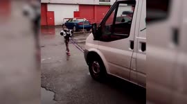 A ten-year-old girl won gold in a strong woman contest against ADULTS