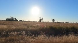 Video of stunning sunny sky and scenery while travelling in car on a roadtrip