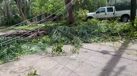 A man clears the road from the trees felled by Ida. New Orleans, Louisiana, USA