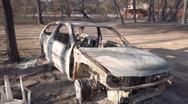 The scene after Varympompi in Greece was devoured by wildfires