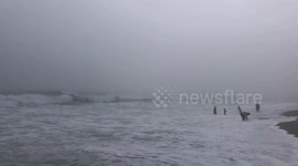 Martha's Vineyard braces for Hurricane Henri in Edgartown, MA, USA