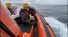 Irish coast guard rescue LAMB after the creature falls from cliff